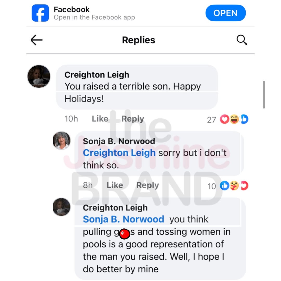 Ray J’s Mom Claps Back at Haters 👀