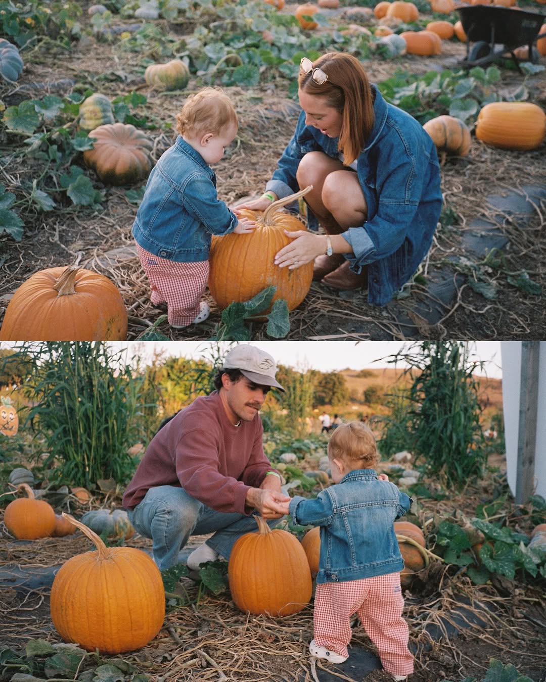 Sister-in-Law Drama? You’re Not Alone