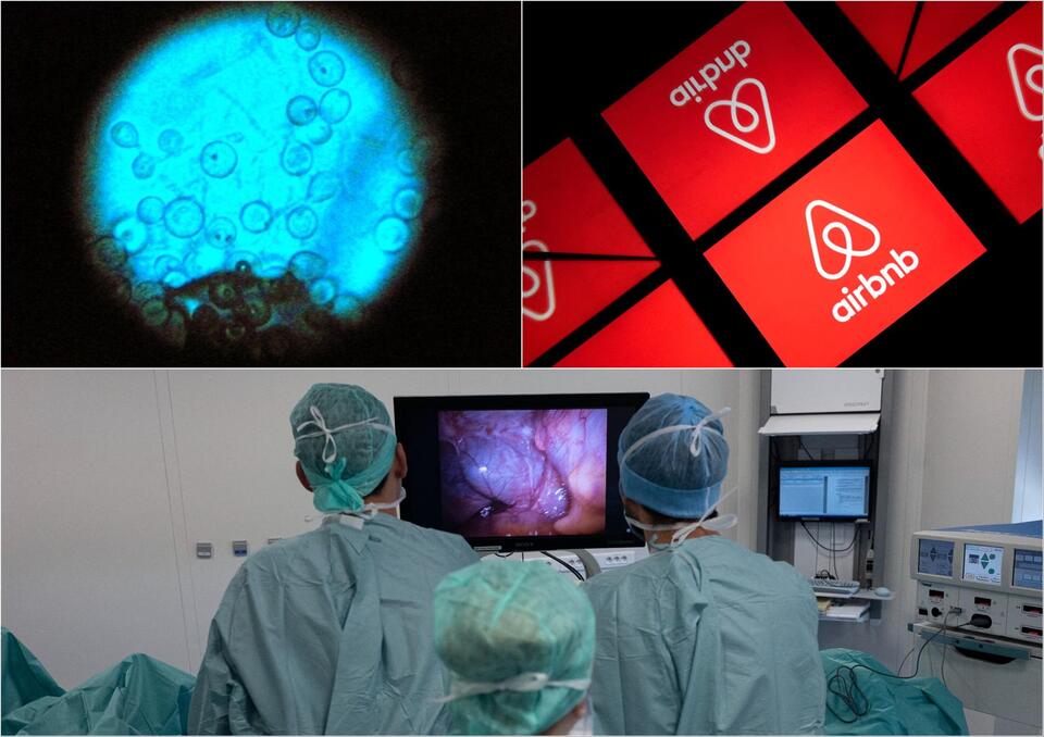 Airbnb Nightmare: Toxic Mold Kills Cancer Patient