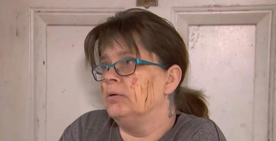 Coyote encounter shakes up Washington County