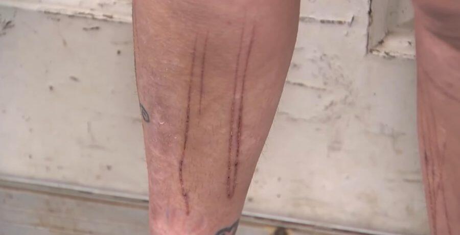 Coyote encounter shakes up Washington County