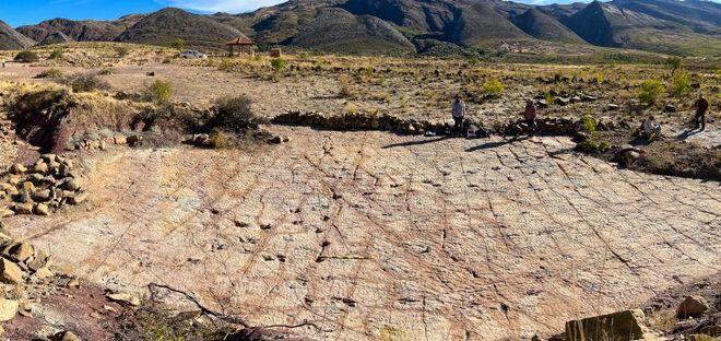 Dinosaur Highway Found in Bolivia?!