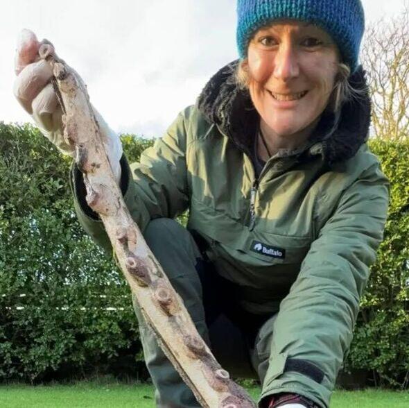Massive deep-sea octopus stuns Aberdeenshire