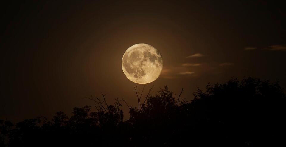 Next Full Moon Vibes Incoming!