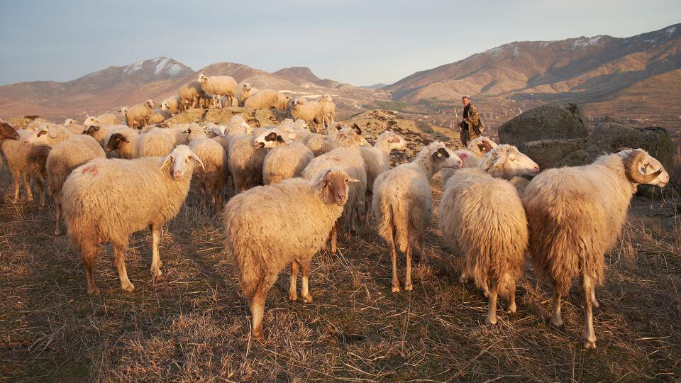 Europe’s Hidden Gem: No Crowds, Just Vibes