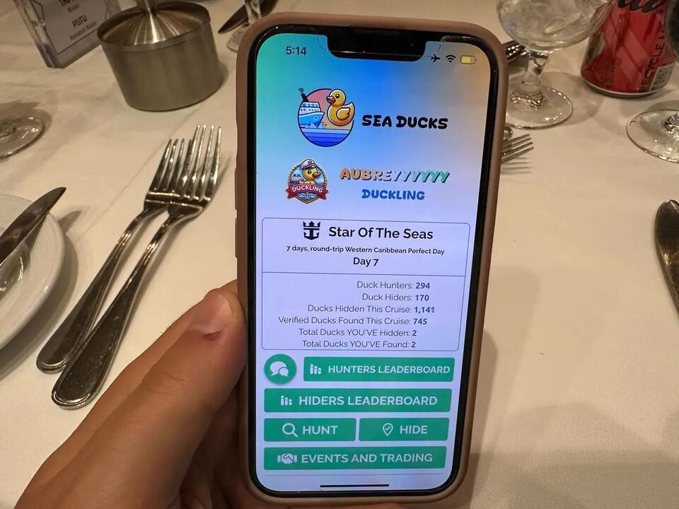 Would You Join the Cruise Duck Hunt?