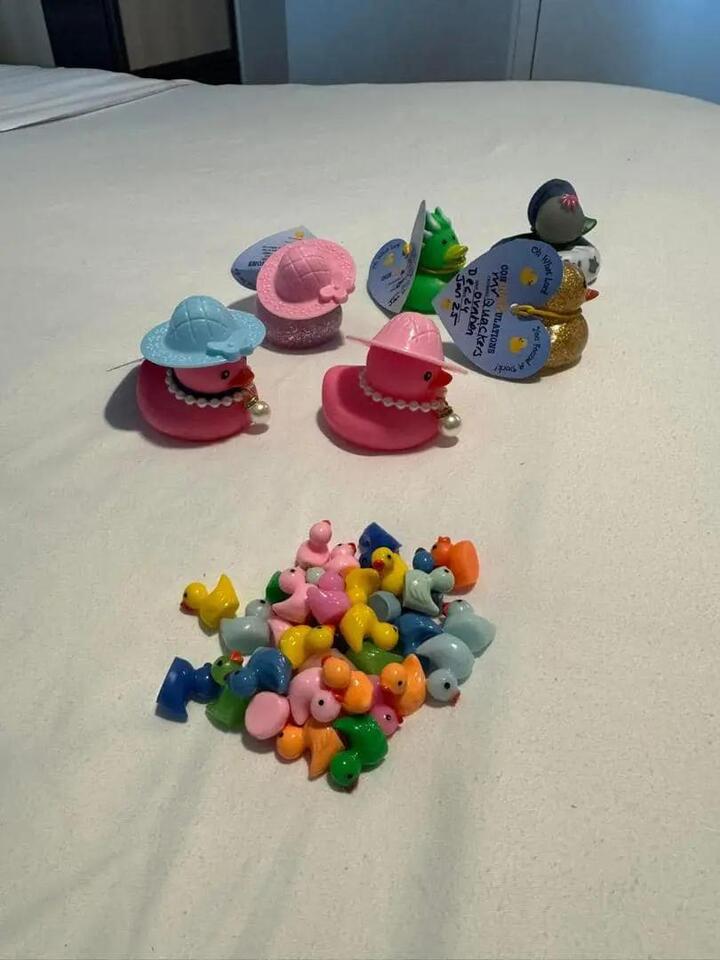 Would You Join the Cruise Duck Hunt?