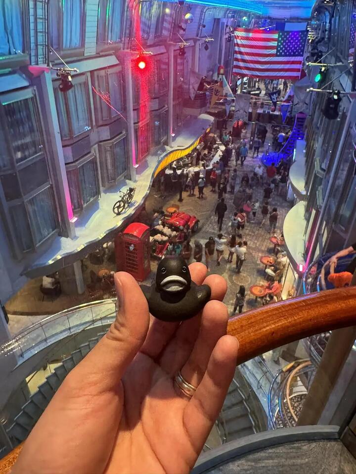 Would You Join the Cruise Duck Hunt?