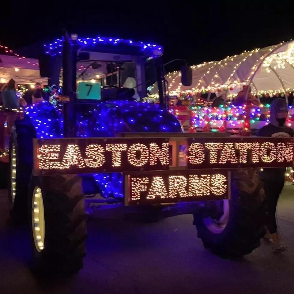 Albany’s Hot Chocolate Stroll returns!