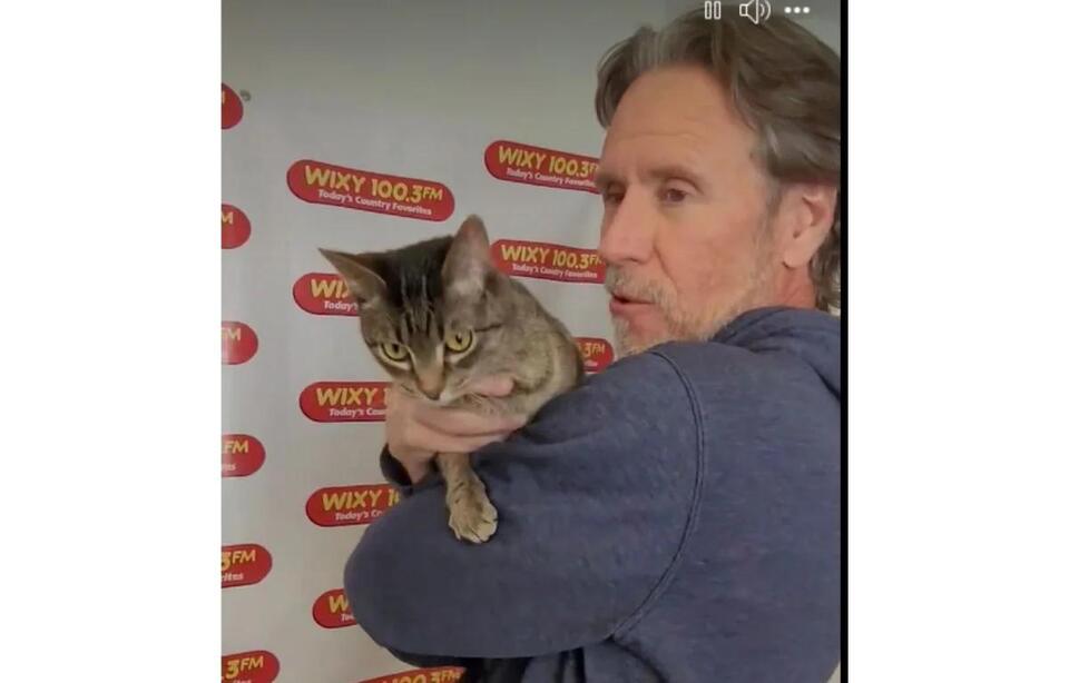 Meet Skye: Champaign’s lap-cat with heart