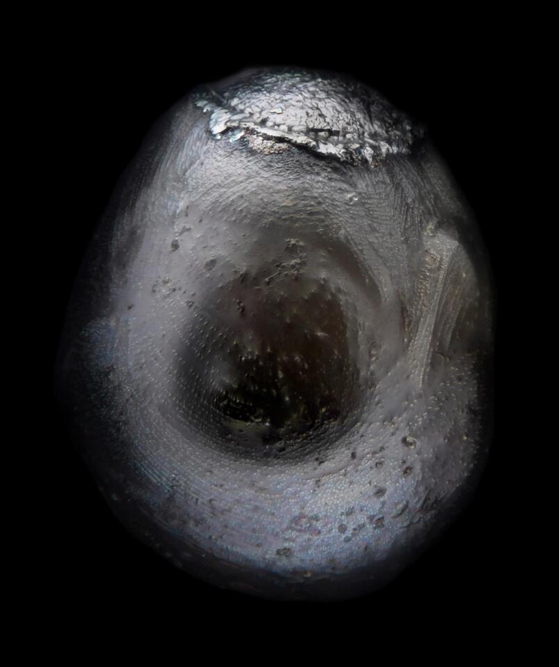 Fireball lights up Cincinnati skies