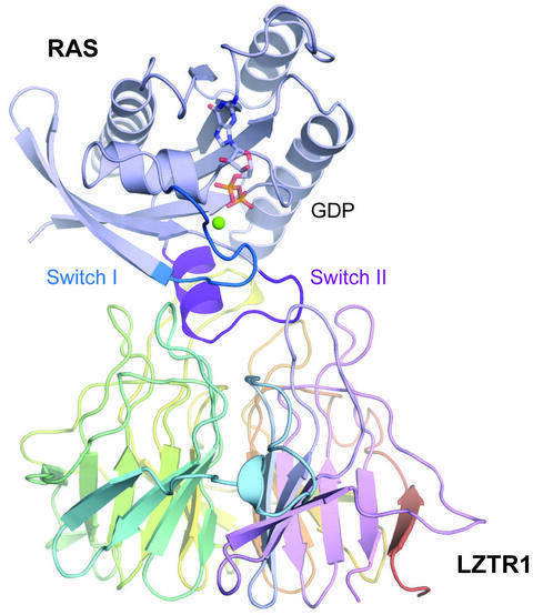 Scientists Find New Way to Take Down Cancer