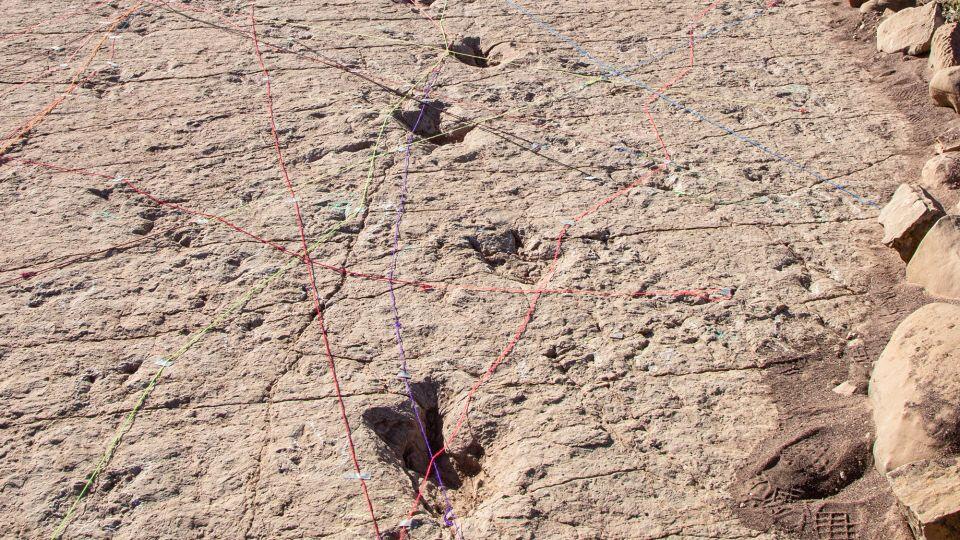 Dino Freeway Uncovered in Bolivia!