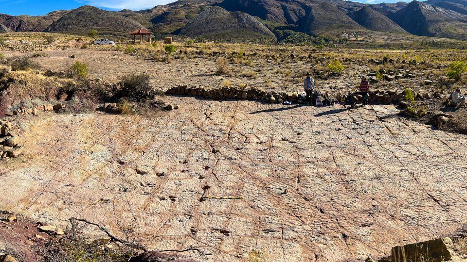 Dino Freeway Uncovered in Bolivia!