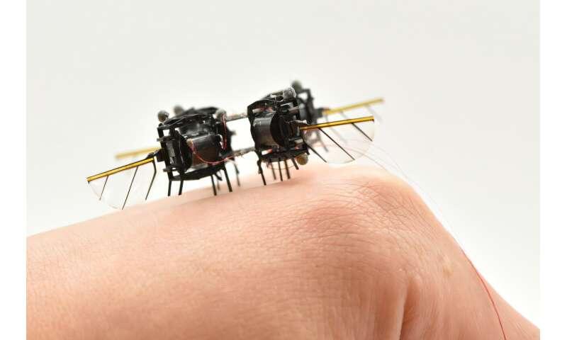 Would You Trust a Robo-Bee in a Disaster?