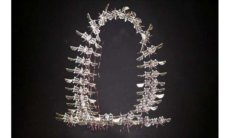 Would You Trust a Robo-Bee in a Disaster?