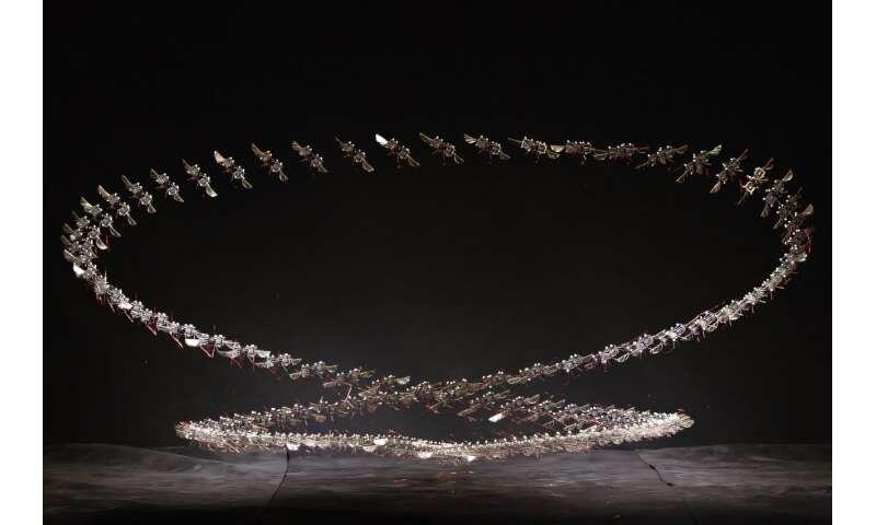 Would You Trust a Robo-Bee in a Disaster?