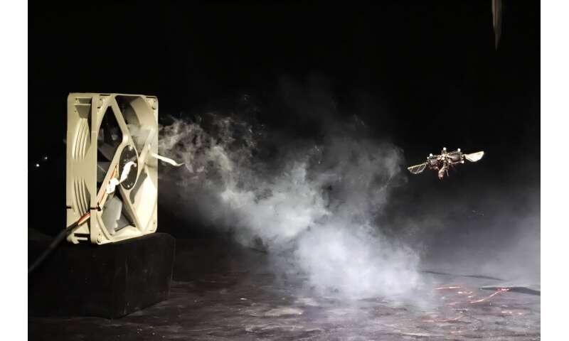 Would You Trust a Robo-Bee in a Disaster?