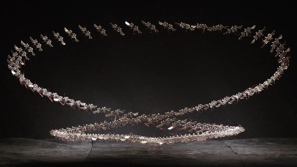 Could Robo-Insects Outsmart Drones?