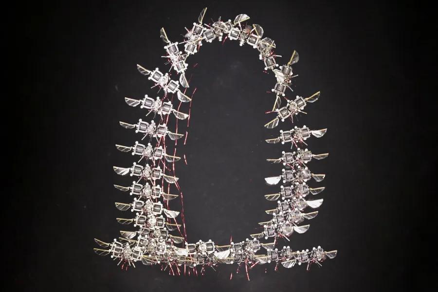 Could Robo-Insects Outsmart Drones?