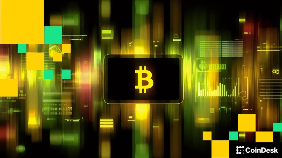 Bitcoin’s Wild Ride: Should You HODL?