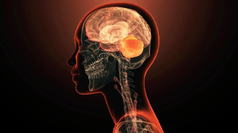 One Gene, One Mental Illness? Wild!