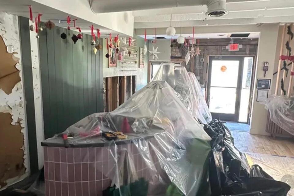 Richmond’s cat café flooded by playful kitten