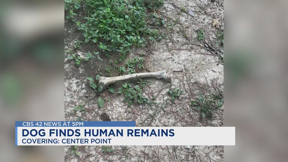 Center Point dog helps solve missing person case