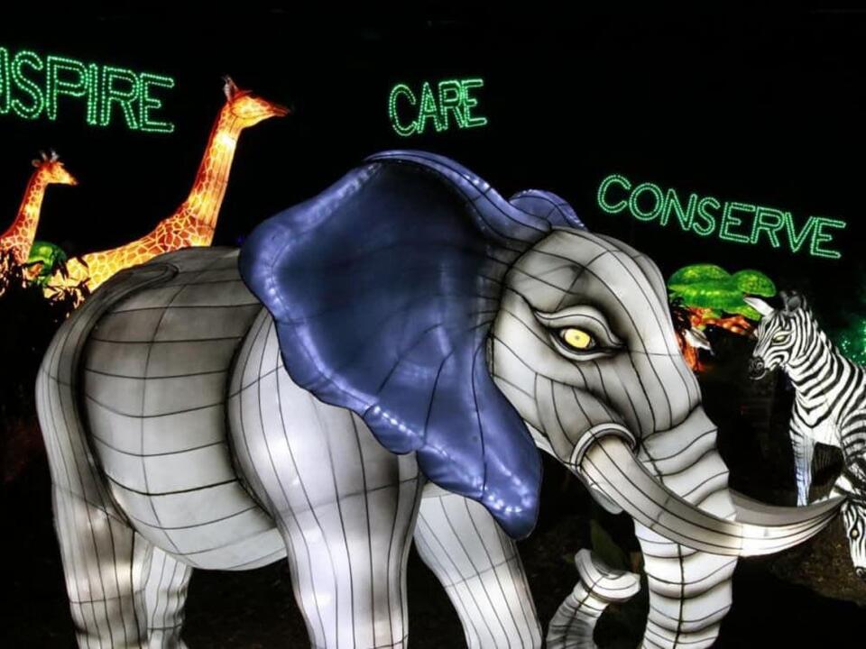 Dallas’ food scene just leveled up