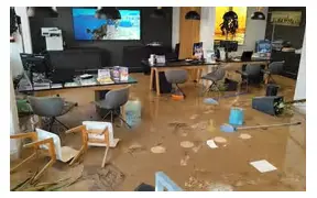 Richmond cat café flooded by mischievous feline