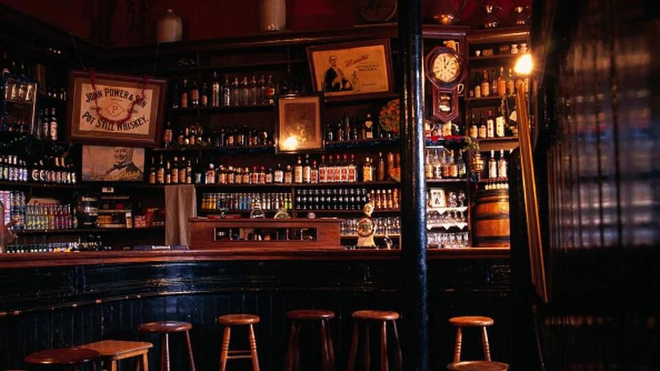 A Seal Walks Into a Bar… Literally!