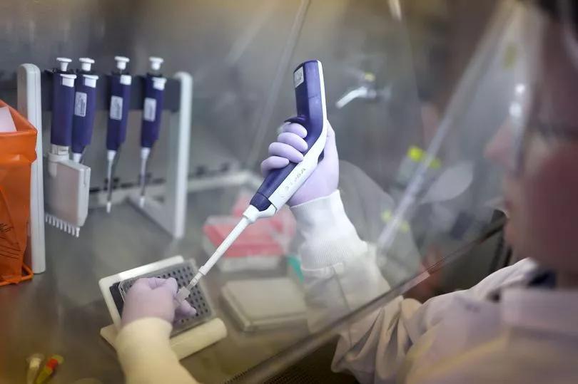 Bird Flu's Sneaky Trick Against Fevers