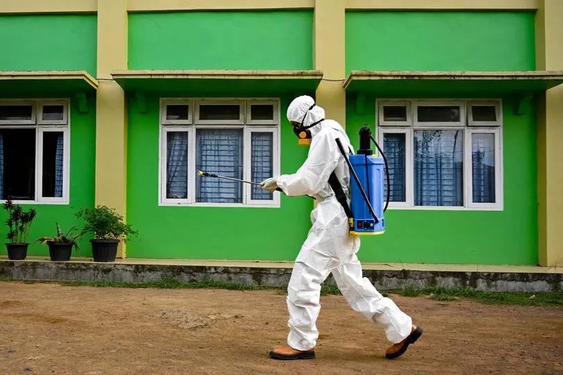 Bird Flu's Sneaky Trick Against Fevers