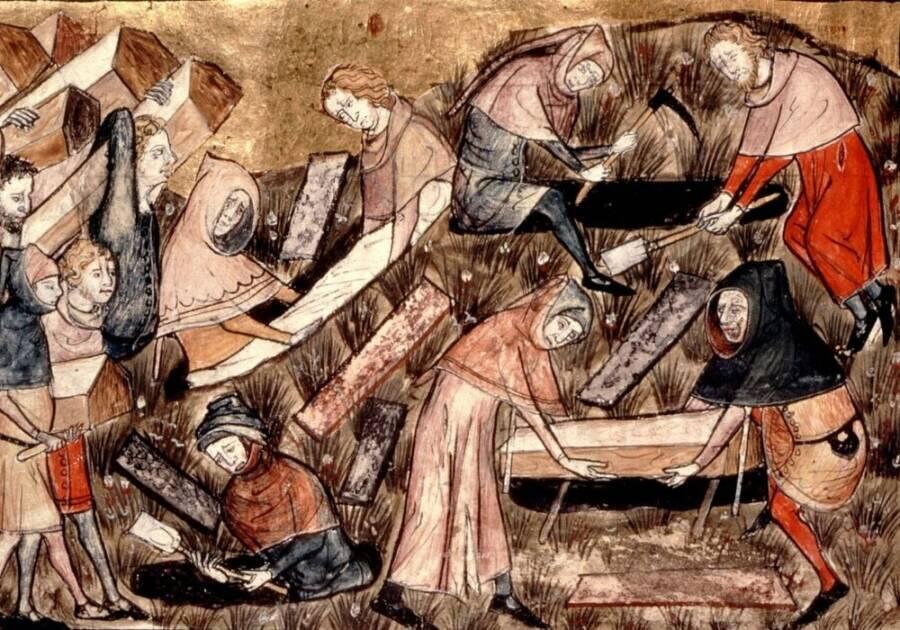 Did a Volcano Really Start the Black Death?