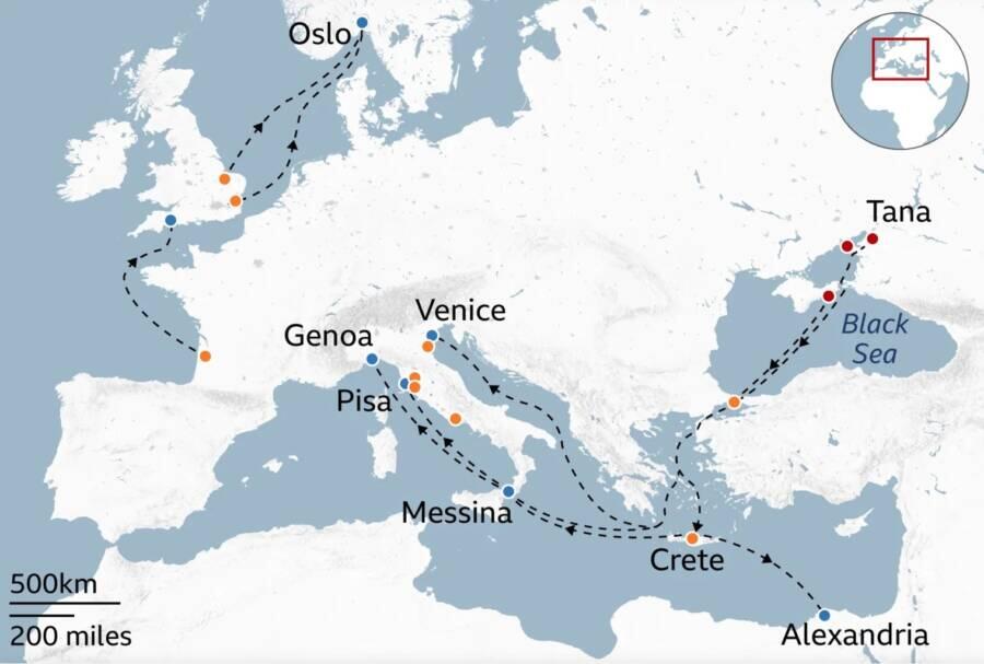 Did a Volcano Really Start the Black Death?