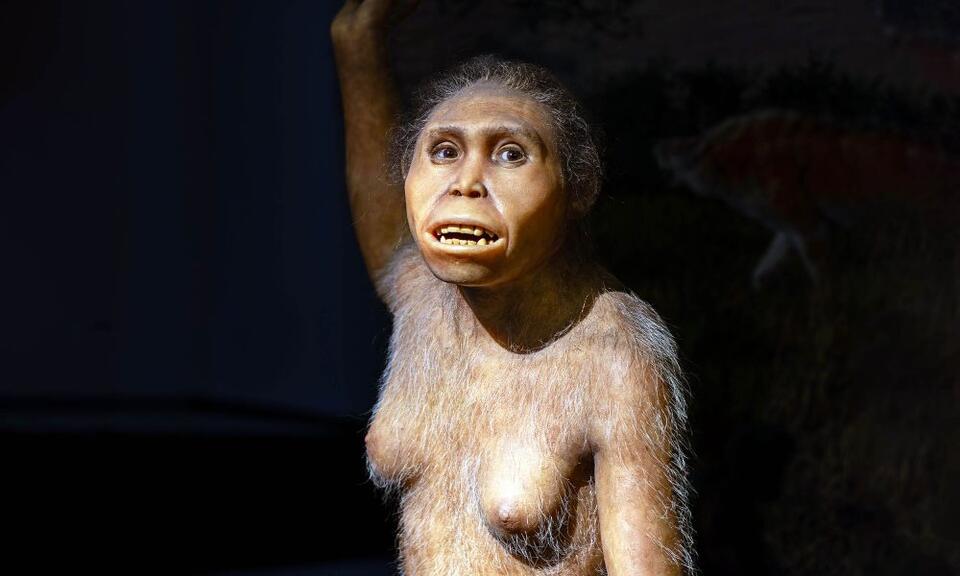 Two Ancient Human Cousins, One Wild Neighborhood