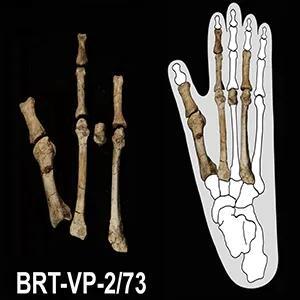 Two Ancient Human Cousins, One Wild Neighborhood