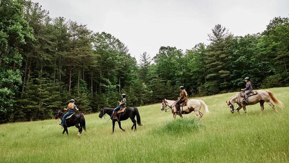 A rare chance to call Primland home