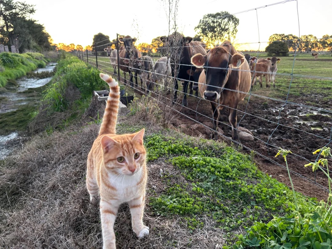 He’s the senior manager of this farm
