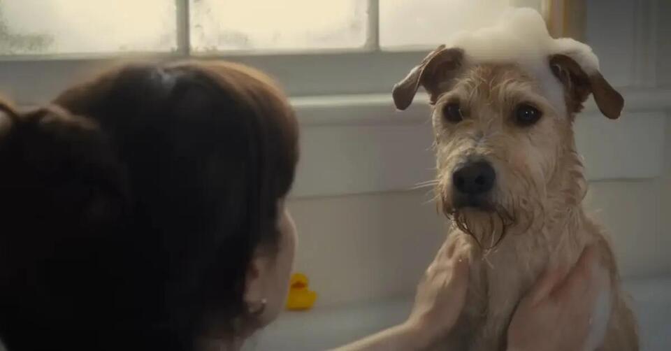 Holiday Movie Plot Twist: Die Hard Debate 🎬