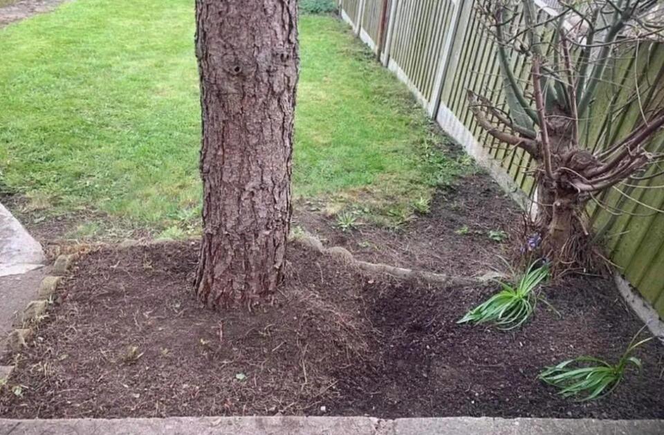 When renters improve, who really benefits?