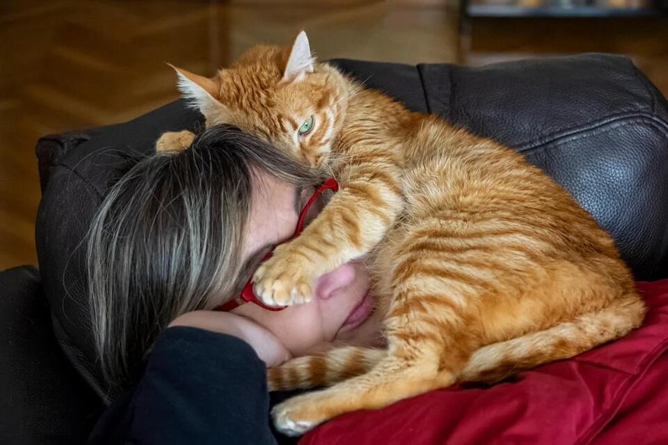 Why Cats Love Sleeping on Your Head
