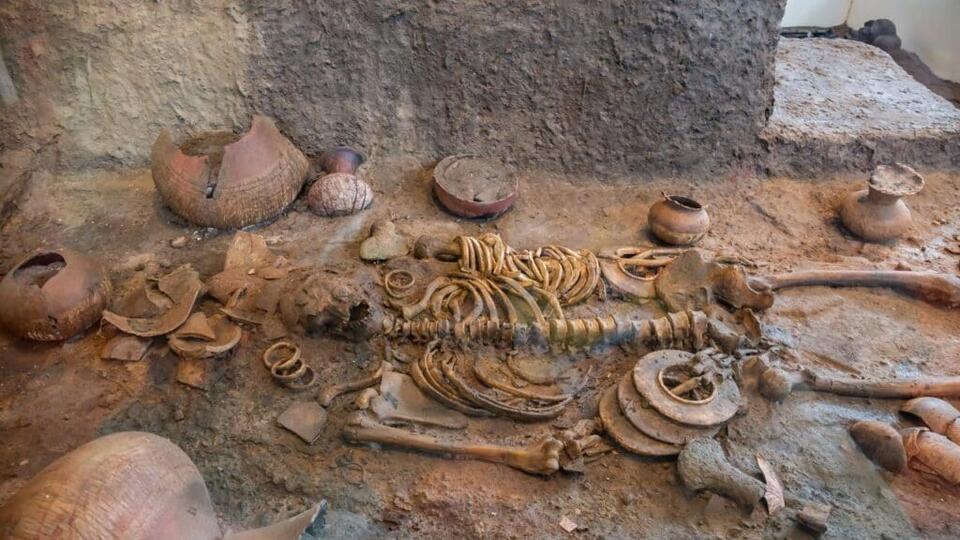 Fossil With Its Brain Still Intact?!