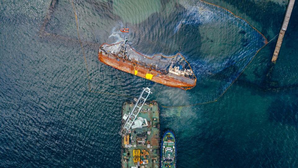 Deep-Sea Mining Uncovers Wild New Species