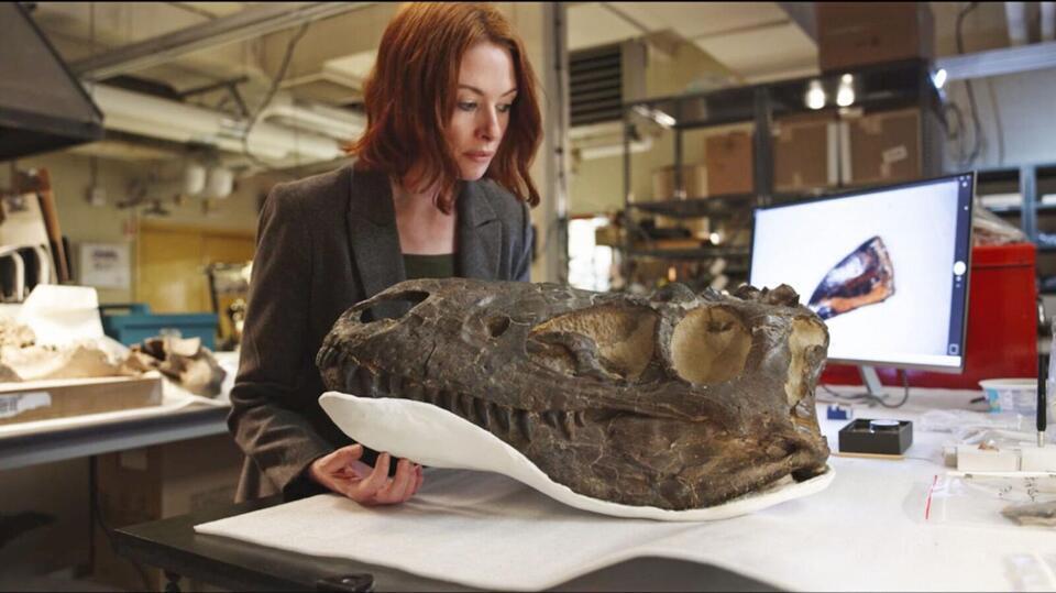 Cleveland’s dino skull mystery finally solved