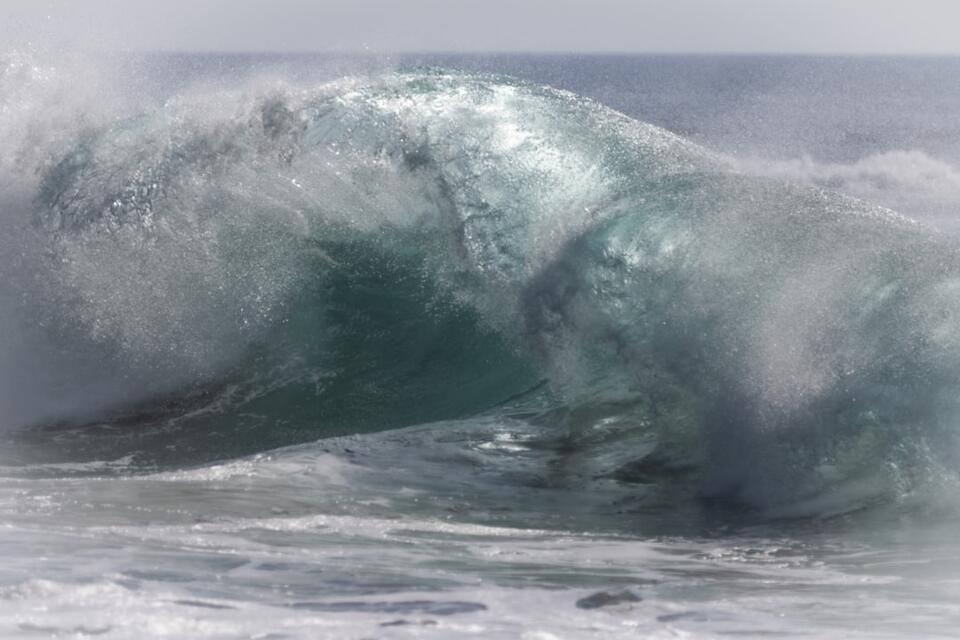 When Dinosaurs Faced Doomsday