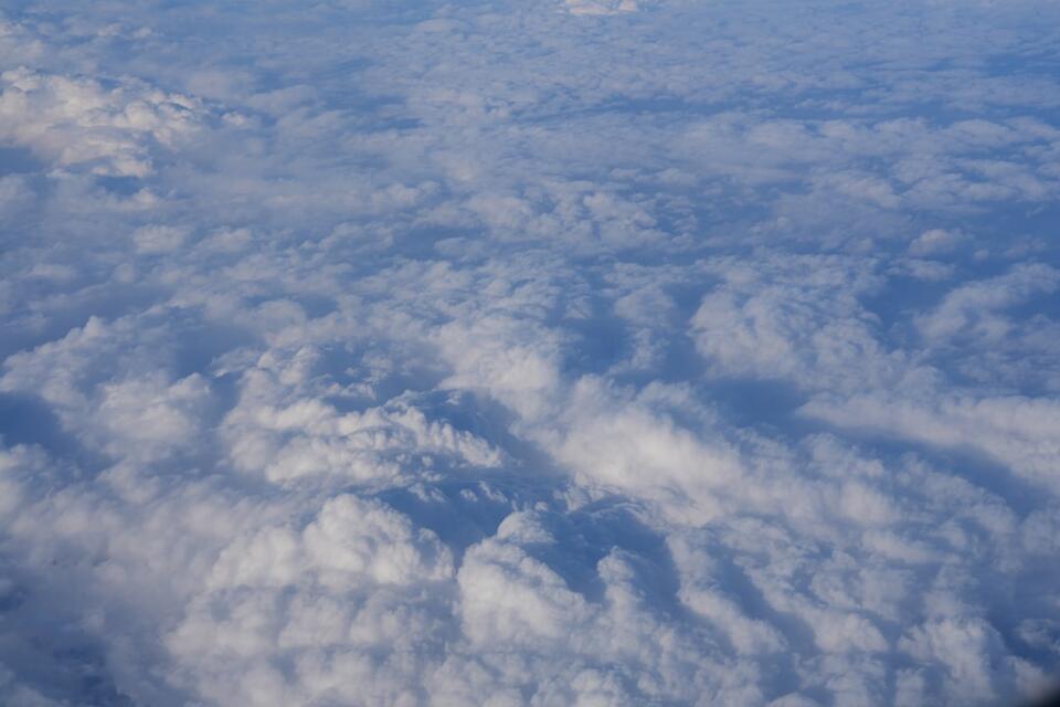 When Dinosaurs Faced Doomsday