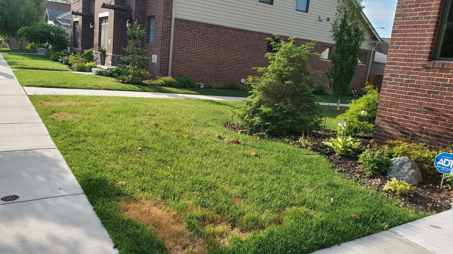 How I Finally Got My Lawns to Survive August Heat