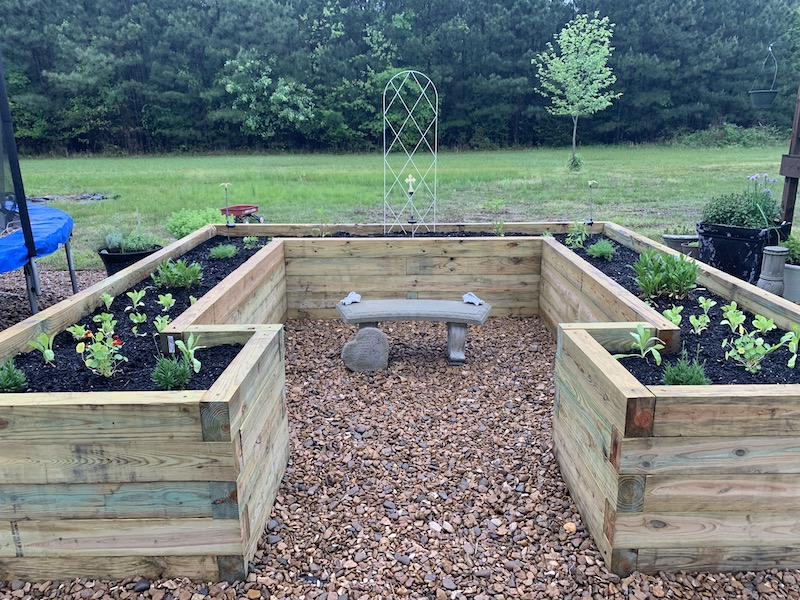 Why My Raised Beds Failed — and How I Fixed Them