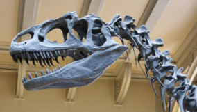 When Dinosaurs Faced Doomsday